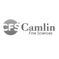 Camlin Fine Sciences