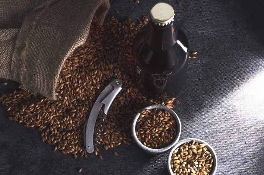 malt with beer