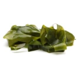 Hydrocolloïden