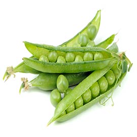 Plantaardige eiwitten