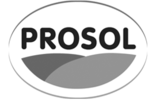 prosol-logo