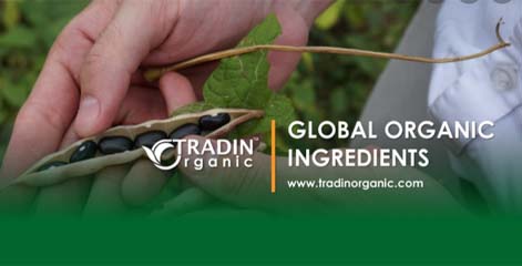 Gerard Versteegh (CEO Tradin Organic) kijkt verder dan puur biologische landbouw